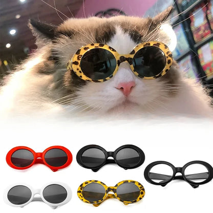 Sunglasses For Cat Glasses Cool Pet Small Dog Glasses Pet Product For Little Dog Cat Sunglasses For Photography Pet Accessories