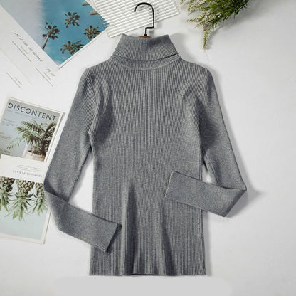 Turtleneck Women Sweaters