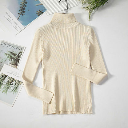 Turtleneck Women Sweaters