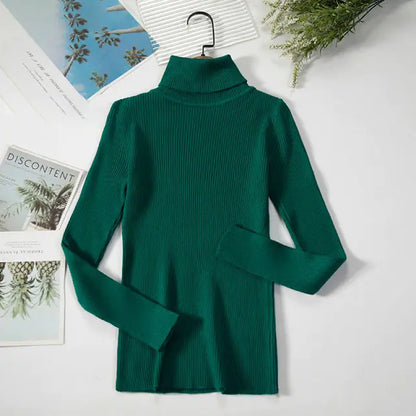 Turtleneck Women Sweaters