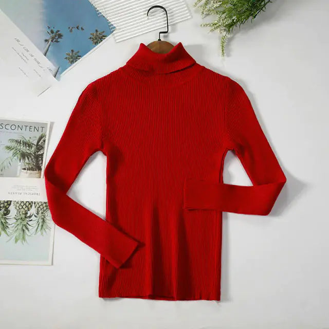 Turtleneck Women Sweaters